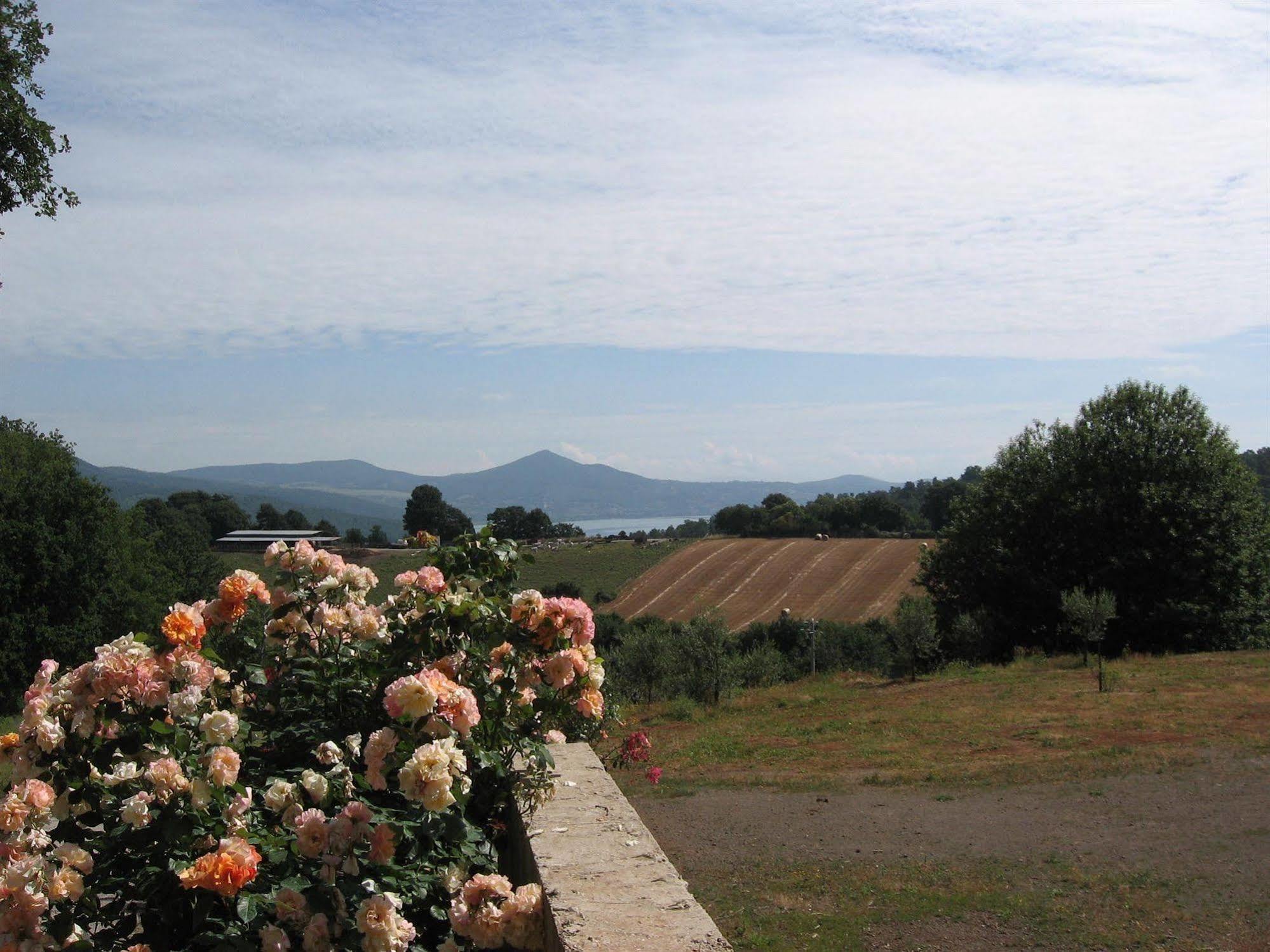 Agriturismo La Gismonda Bracciano  Exteriér fotografie